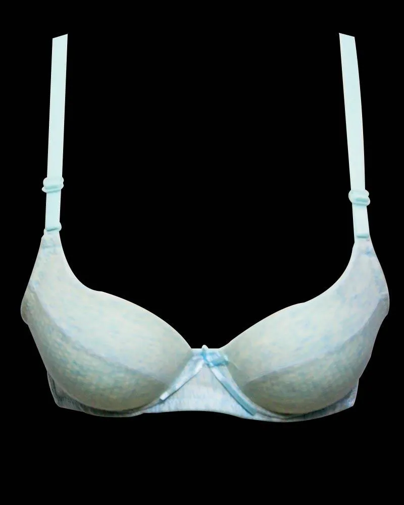 Bridal SH2222 Sexy Firozi Bra - Double Padded,Under Wired - Sister Hood
