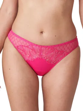 Disah Rio Brief