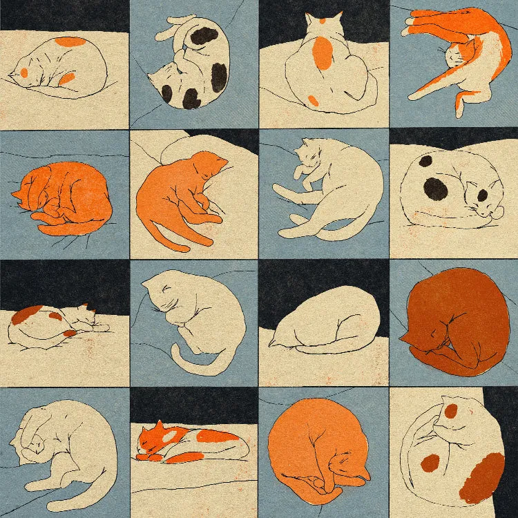 Enikő Eged - Sleeping Cat