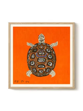 Enikő Eged - Turtle Orange