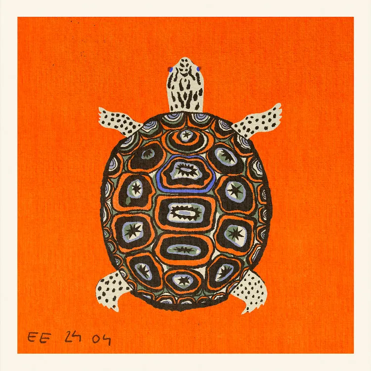 Enikő Eged - Turtle Orange