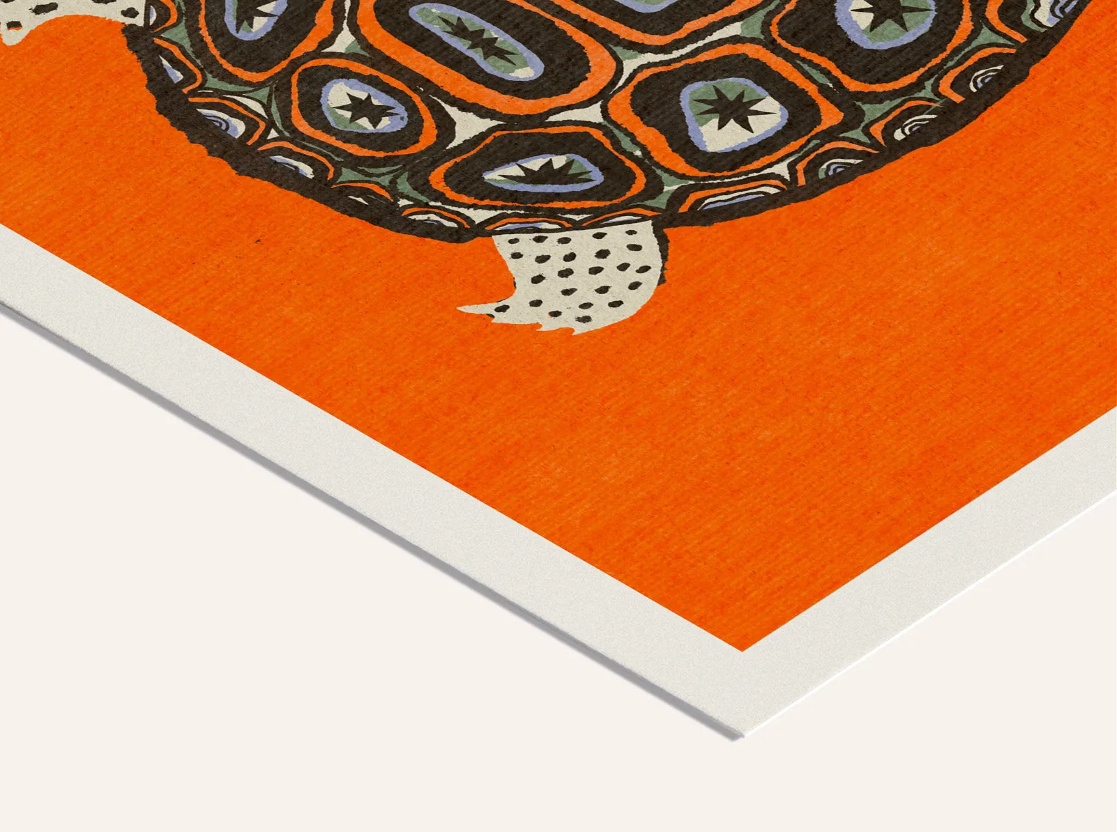 Enikő Eged - Turtle Orange