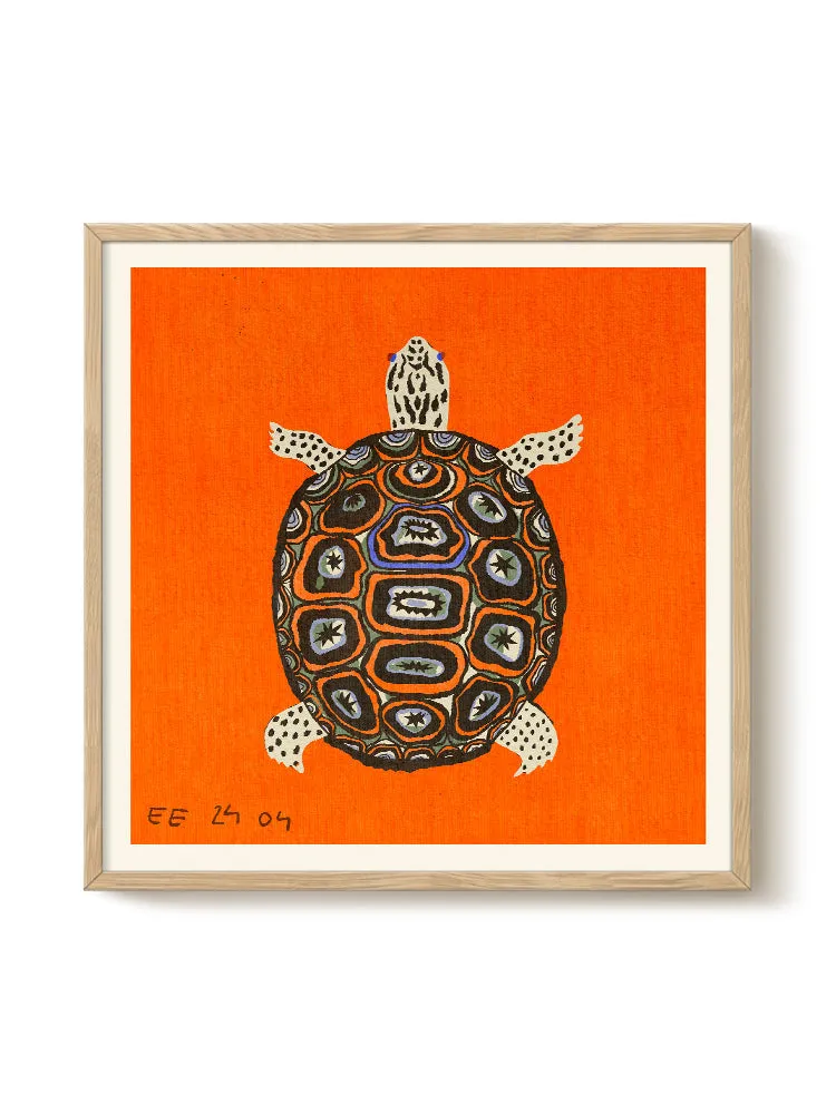 Enikő Eged - Turtle Orange