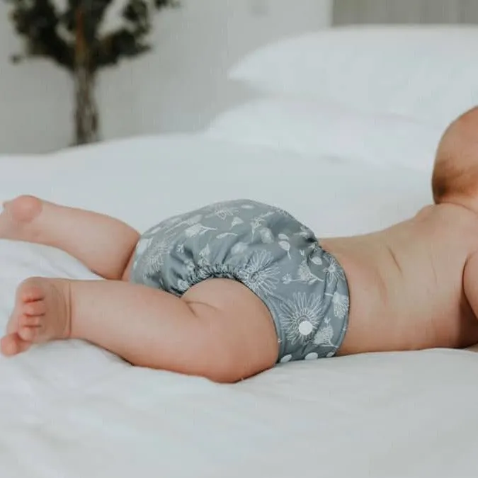 Modern Cloth Nappy - OSFM