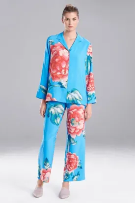 Nova PJ