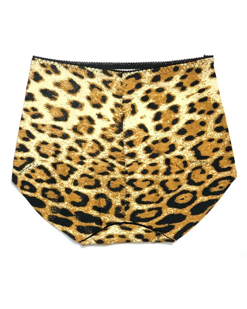 Sexy Soft Panty S5204 For Ladies - By Dishini