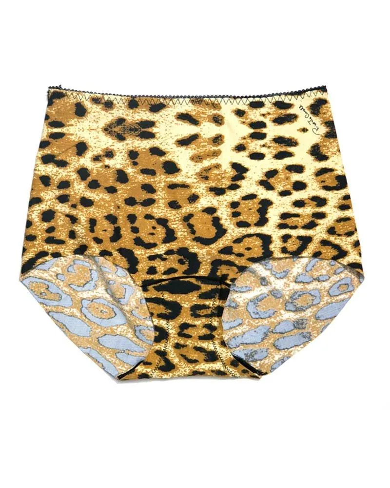 Sexy Soft Panty S5204 For Ladies - By Dishini