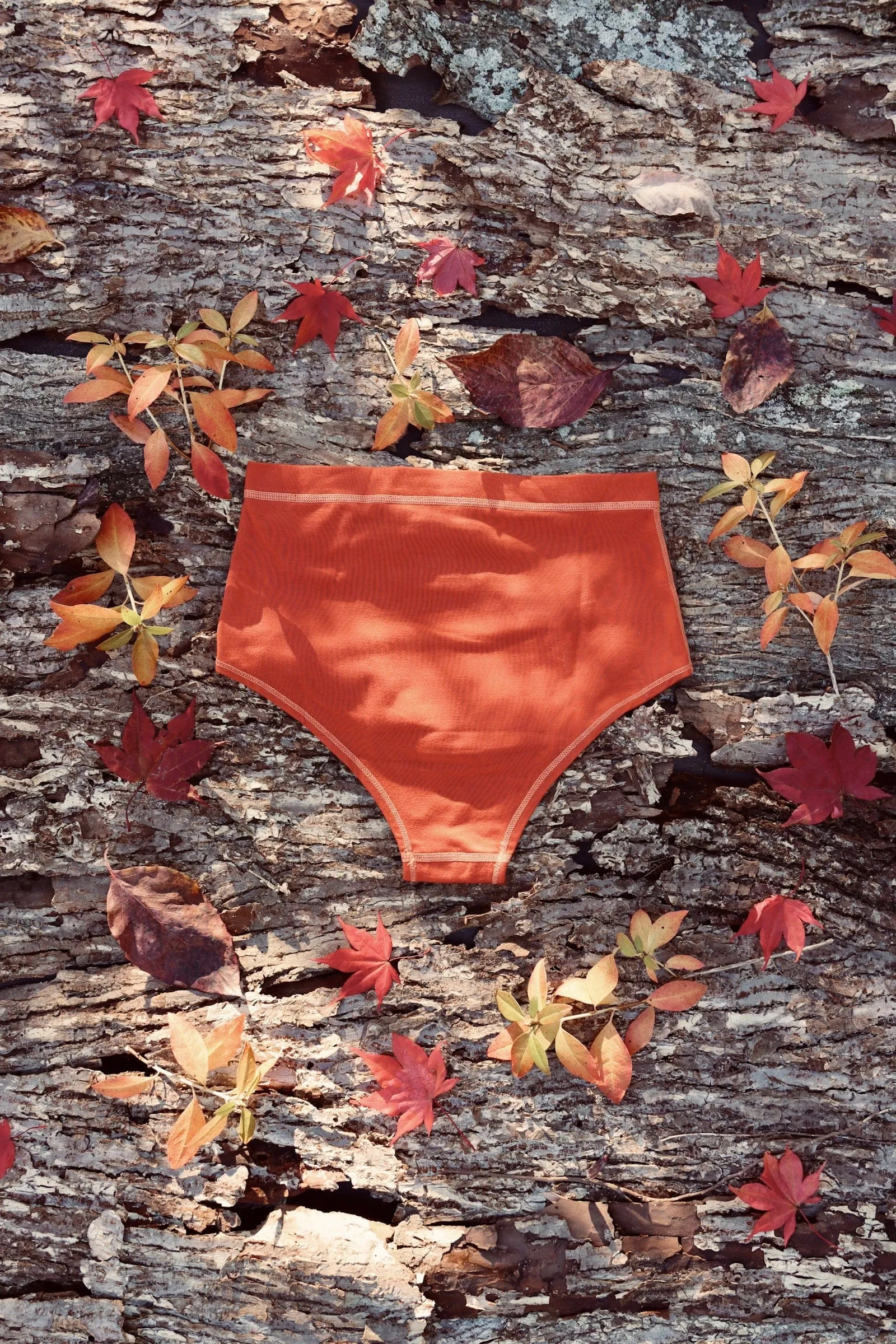 Skyclad Cheeky Briefs