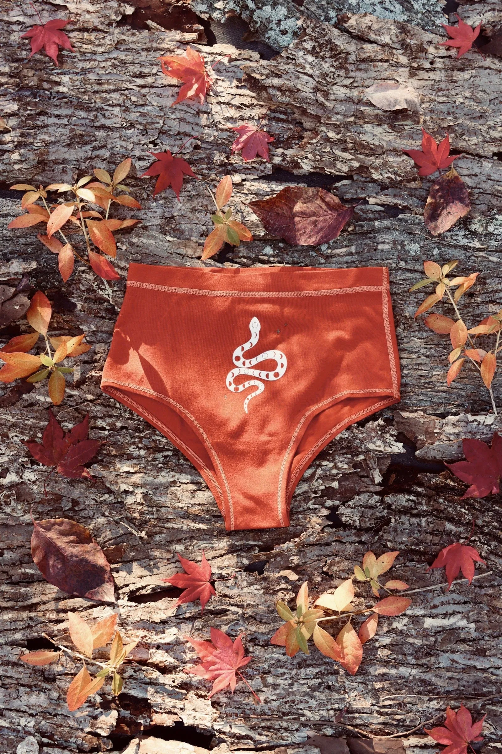 Skyclad Cheeky Briefs