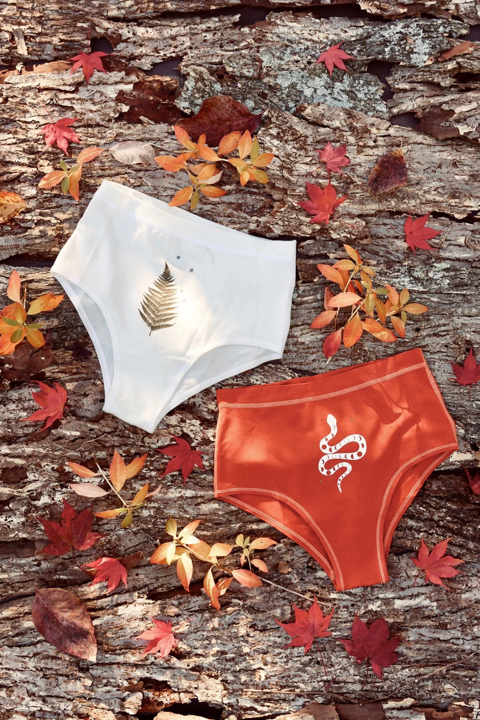 Skyclad Cheeky Briefs
