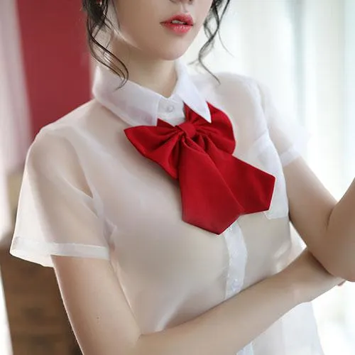Transparent Sexy School Uniform SD01100