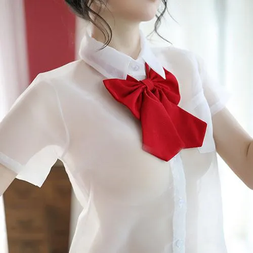 Transparent Sexy School Uniform SD01100