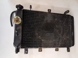 Triumph TT600 Radiator