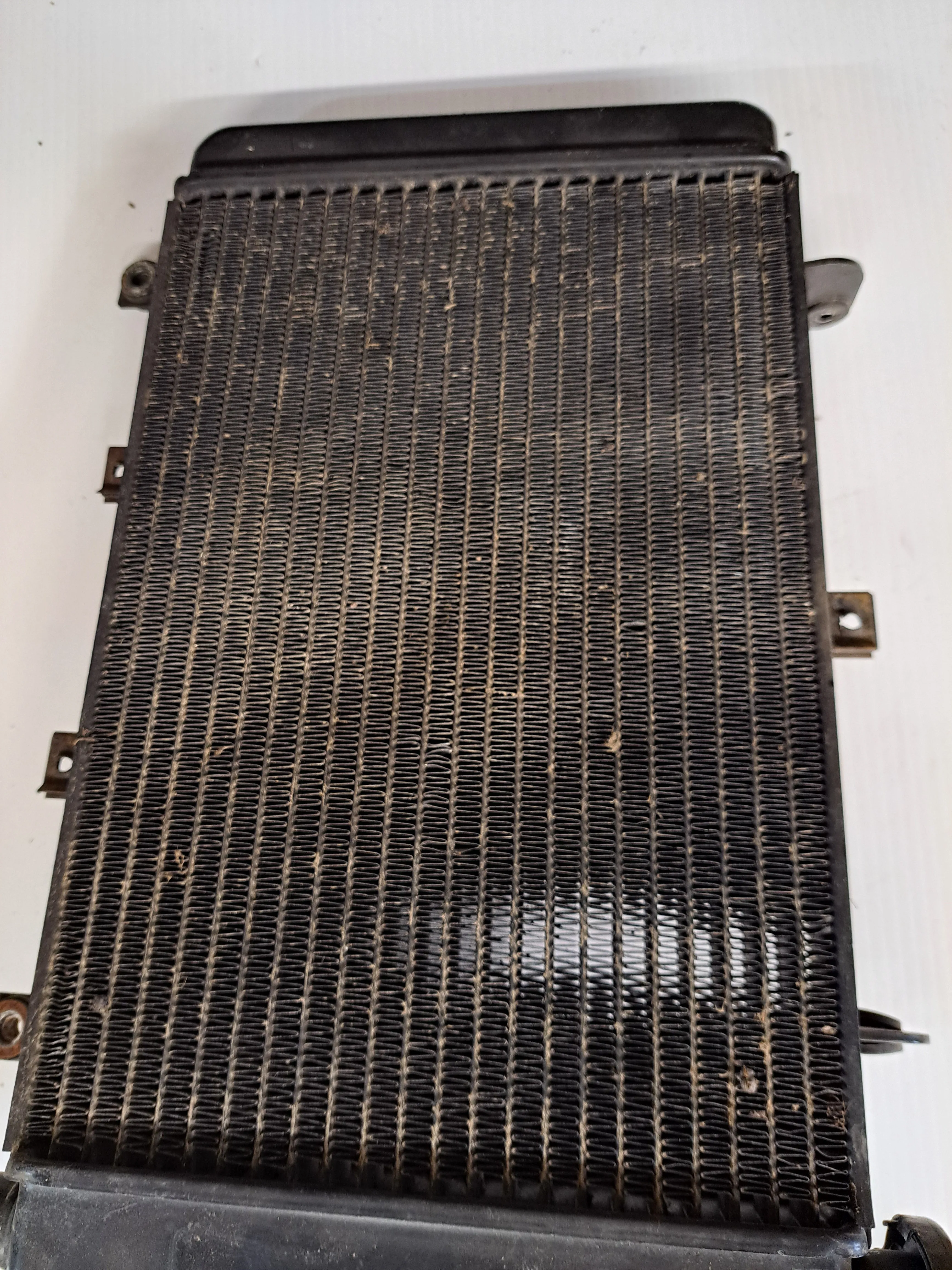 Triumph TT600 Radiator