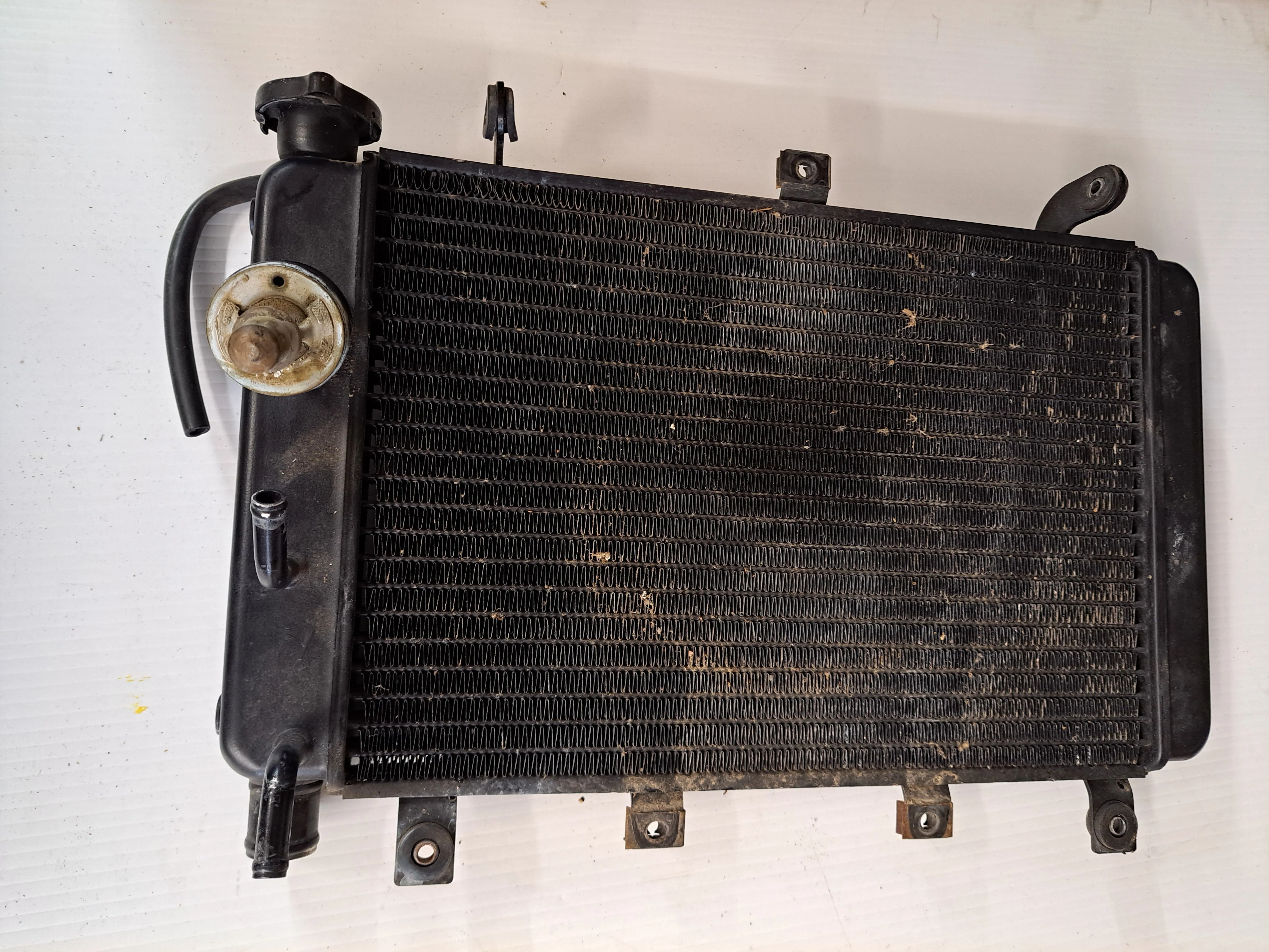 Triumph TT600 Radiator